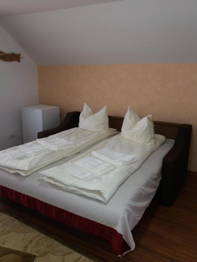 مبيت وإفطار Casa Vlasea Albesti سيفِسوارا المظهر الخارجي الصورة