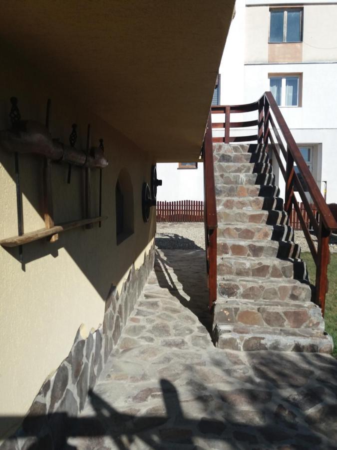 مبيت وإفطار Casa Vlasea Albesti سيفِسوارا المظهر الخارجي الصورة