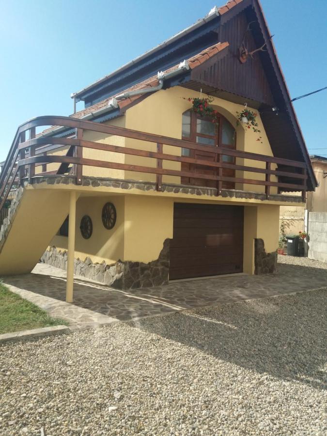مبيت وإفطار Casa Vlasea Albesti سيفِسوارا المظهر الخارجي الصورة