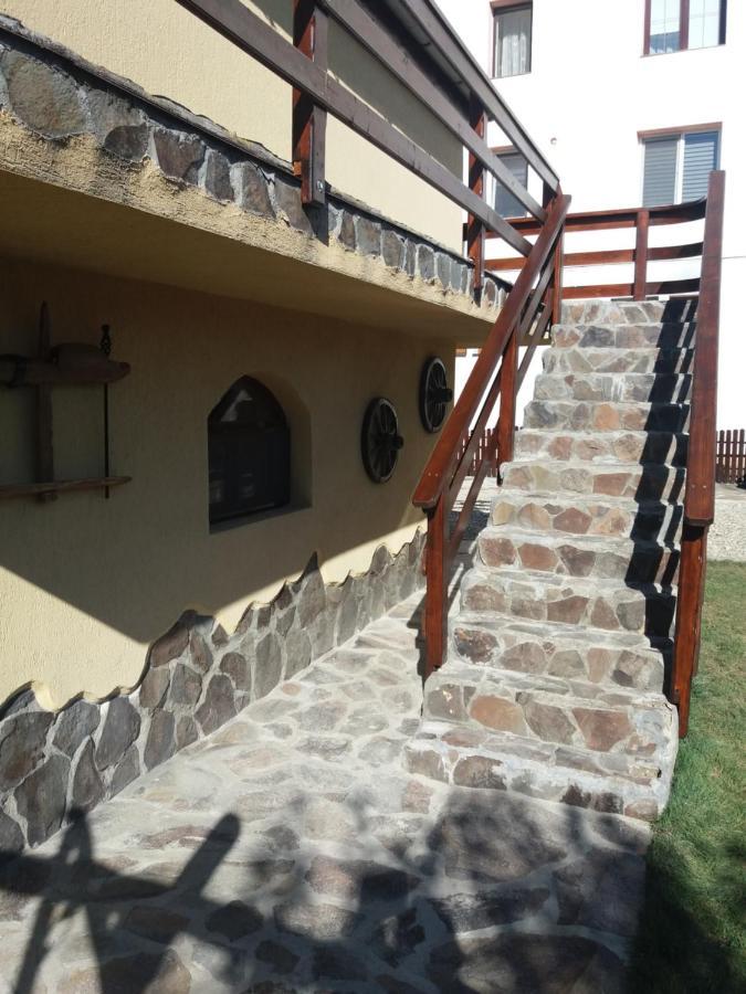 مبيت وإفطار Casa Vlasea Albesti سيفِسوارا المظهر الخارجي الصورة