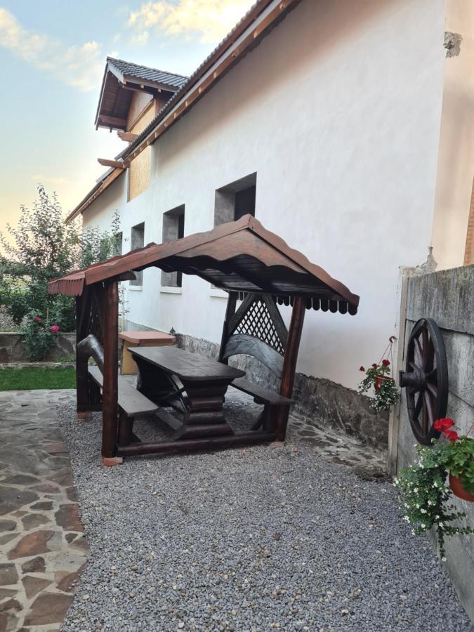 مبيت وإفطار Casa Vlasea Albesti سيفِسوارا المظهر الخارجي الصورة